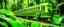 Placeholder: A train in a lime green jungle designed in ancient Egyptian hieroglyphics