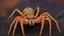 Placeholder: creepy crawly halloween creatures spiders spiderwebgs colorful creatures of every kind