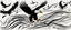 Placeholder: energetic lines blowing across the composition, eagle chasing smaller birds on the right, a few feathers trailed behind, vector black on white