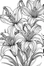 Placeholder: Outline art for coloring page, LILIES WITH STEMS, coloring page, white background, Sketch style, only use outline, clean line art, white background, no shadows, no shading, no color, clear