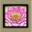 Placeholder: pink lotus in Hexagon, golden elements, paper gain