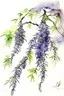 Placeholder: Japanese watercolor of wisteria tree, in the style of Sumi-e