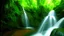 Placeholder: jungle.water fall.