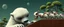 Placeholder: close up on member of piano jazz giant polar alien sloth gremlin sheep flock climbing trees