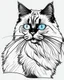 Placeholder: Birman Cat Breed clean sharp 64 K clipart line art