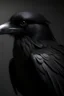 Placeholder: black raven portrait that wearing gothic clothes