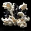 Placeholder: Ultra-detailed surreal biomorphic 3D gallery sculpture of soft ivory organic forms violently contrasted with sharp black obsidian crystal structures, dramatic high-end museum lighting, strong chiaroscuro, floating composition, Octane render, ultra photorealistic, 8k, luxury fine art installation