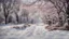 Placeholder: first day of spring
