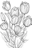 Placeholder: Outline art for coloring page, STYLISH TULIPS, coloring page, white background, Sketch style, only use outline, clean line art, white background, no shadows, no shading, no color, clear