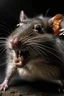 Placeholder: orally gavage to rat