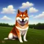 Placeholder: shiba inu, on an amish farm in pennsylvania