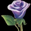 Placeholder: purple flower, greeting card illustration