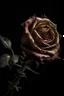 Placeholder: roseWithered rose