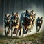 Placeholder: A hyper-realistic, pack of wolves running, wild chase, cinematic BG, enchant color, dramatic scene, front side view ,fool size , Photo Real, 8k