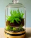 Placeholder: fern terrarium in a bell jar, symmetrical, warm colors, warm lighting, linen backdrop