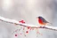 Placeholder: A beautiful colourful little bird catches a red berry with its beak while standing on a snowy branch in sunshine, ethereal, cinematic postprocessing, bokeh, dof