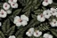 Placeholder: a close up of a real classical paint Hibiscus flowers pattern, ferns, hawaii flowers, on a black background, nature and floral aesthetics, ornate flowers, floral details, beautiful wallpaper, floral renewal, detailed flowers, floral explosion, wallpaper aesthetic