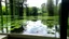 Placeholder: White wall with a window reflected in a pond with water lilies and aquatic plants. On the wall and on one side there is a transparent glass structure. The surroundings are a very green wooded area. Some birds fly over the scene.