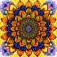 Placeholder: sunflower mandala