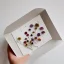 Placeholder: aesthetic layout of small dried flower in the open white vinyl envelope, vintage, tender, mild colours