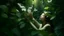 Placeholder: A woman emerges from dense foliage, her arms raised high, hands grasping a single white butterfly. The greenery envelops her, a lush tapestry of leaves and branches, while the butterfly delicately perches on her fingertip. The scene is a blend of nature's serenity and the ethereal beauty of the butterfly, creating a sense of tranquility and harmony.