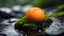 Placeholder: Close up of an orange fruit on a wet rock,rain drops,moss,high details,dark place