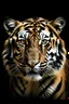 Placeholder: A National Geographic style photo of a tiger, realistic