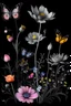 Placeholder: colorful, pink and iris wildflowers and butterflies on pale black space paper, very detailed illustration, sketch, concept art, ink outlines, smooth