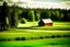 Placeholder: Finnish country landscape, fields