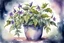 Placeholder: fantasy watercolor painting of a magical tall flowering deadly nightshade bush in a fancy pot