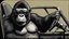 Placeholder: Gorilla wearing thick glasses driving a car. Illustration in the style of Ed "Big Daddy" Roth.