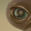 Placeholder: close-up of a fly eye with spatula reflection