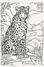 Placeholder: coloring page for kids, LEOPARD, thick outline, low details, no shading, no color