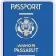 Placeholder: full view of a flattened vector image icon of an passport card with photo, blue color palette, transparent background.