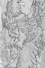 Placeholder: coloring book page of a magical eagle pokemon ,monochrome, black and white, sharp, sketch drawing