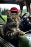 Placeholder: A farmer cat driving a tractor in the rain.