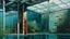 Placeholder: Oil painting, The severe lines and geometric forms of a brutalist exterior structure mirrored in the tranquil waters of an aquarium inside, blending the natural and artificial elements., creative, extremely detailed brush stroke