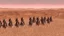 Placeholder: desert, highly detailed, comic style warriors from behind, far away city