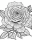 Placeholder: real massive rose flower coloring page