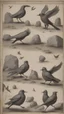 Placeholder: Birds carrying stones in their feet, throwing them at the knights