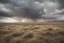 Placeholder: ÇPrairie, landscape photography, expansive, awe-inspiring, breathtaking, vivid colors, dramatic lighting, wide-angle, sharp focus, good exposure, midday, hurricane