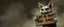Placeholder: air brush 3d with pen outline, mongrel goblin gremlin looking at sign with big cute cat monster saying "Cat is not for sale" with blurred shadow outline, charcoal fog border