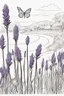 Placeholder: outline art of Lavender only black and white, no colour , White background. sketch style, clean line art, white background, no shadow and clear, no people, no colour, for book