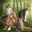 Placeholder: two cats playing in the forest