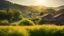 Placeholder: Beautiful realistic rural landscape, warm sunshine, lush plant growth, human habitation, peaceful, delightful, idyll, award-winning photograph, detail, beautiful composition, attractive colour, chiaroscuro