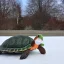 Placeholder: turtle and snowman