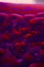 Placeholder: A generous name on a sea of red and purple