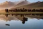 Placeholder: alpacas, peru, mountains, reflection, mist, sunrise