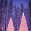 Placeholder: Giant christmas tree white and pink, whit many light in a forest at night