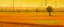 Placeholder: An orange colored arid stretch of land with crackling electrical shrubs painted by Georges Seurat